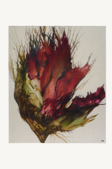 protea scarf