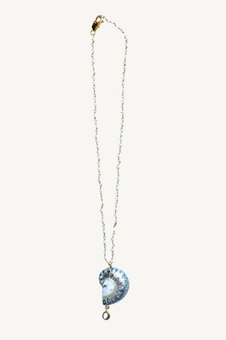 leopard nautilus shell on pearl strand necklace