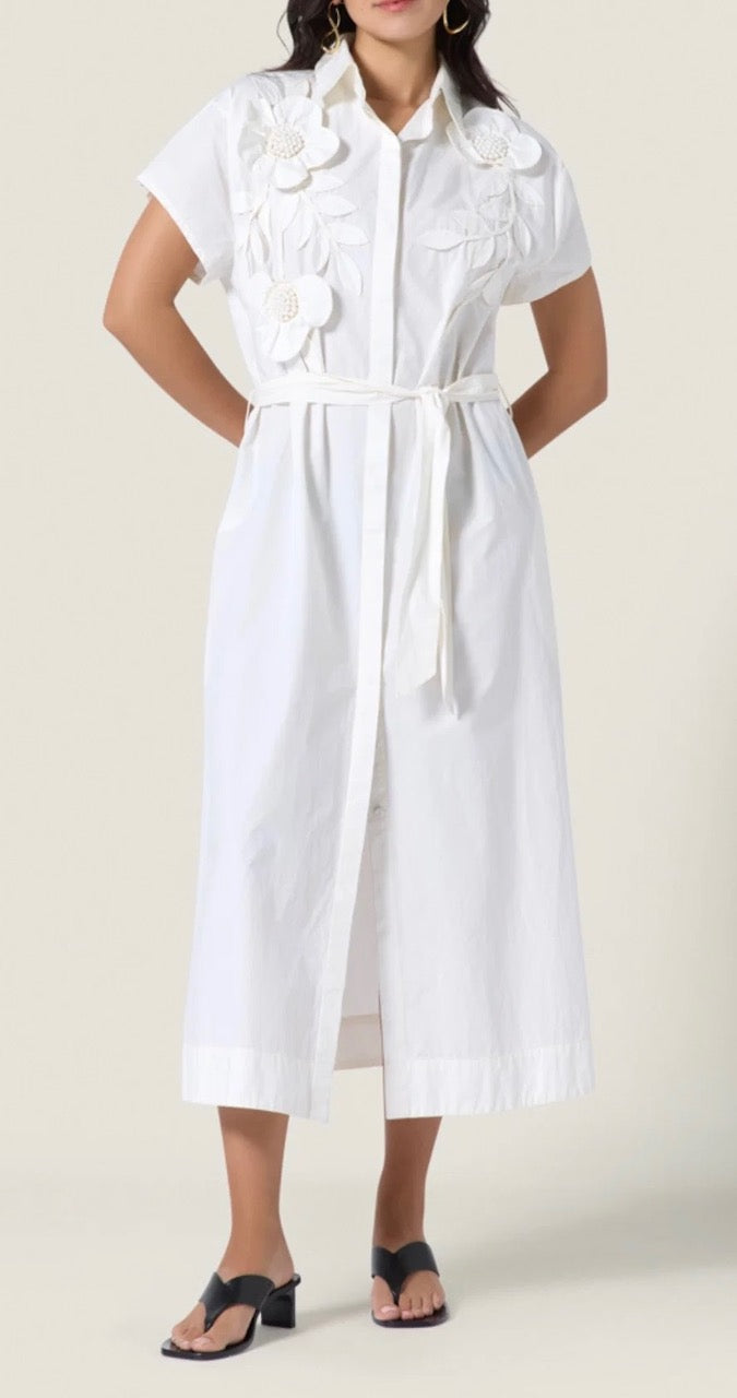 saelina dress - papyrus