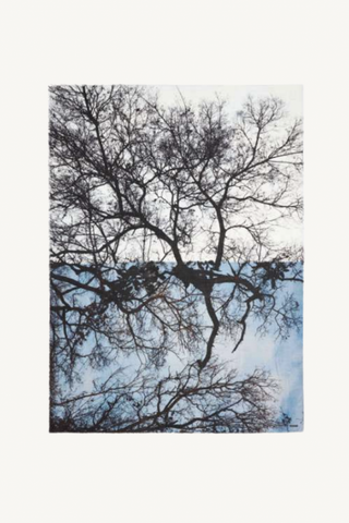 foresta scarf